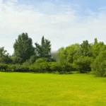 Best places to buy land in Dehradun