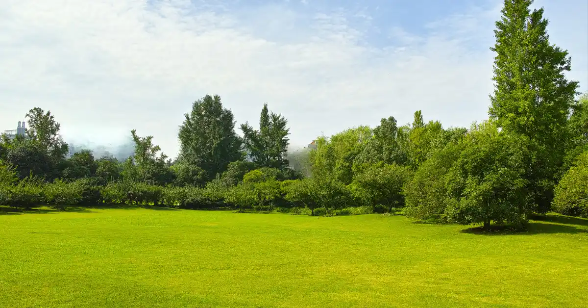 Best places to buy land in Dehradun